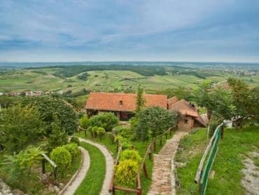 thumb_1631884449_unnamed27